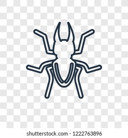 Beetle concept vector linear icon isolated on transparent background, Beetle concept transparency concept in outline style