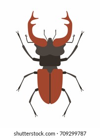Beetle deer in flat style on white background
