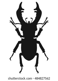 Beetle deer. Horned Beetle. Big. Insect. Line art. Drawing by hand. Graphic arts. Doodle. Tattoo.  Lucanus cervus. Ornamental.