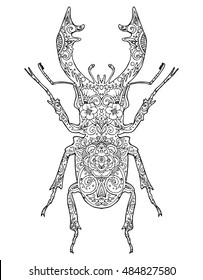 Beetle deer. Horned Beetle. Big. Insect. Line art. Drawing by hand. Graphic arts. Doodle. Tattoo.  Lucanus cervus. Ornamental.