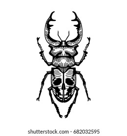 beetle deer with a skull