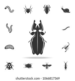 beetle. Detailed set of insects items icons. Premium quality graphic design. One of the collection icons for websites, web design, mobile app on white background