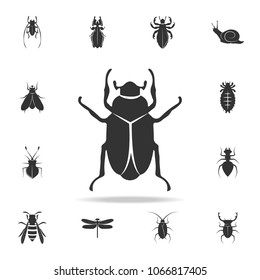 beetle. Detailed set of insects items icons. Premium quality graphic design. One of the collection icons for websites, web design, mobile app on white background