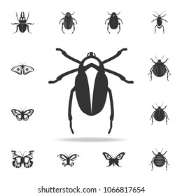 beetle. Detailed set of insects items icons. Premium quality graphic design. One of the collection icons for websites, web design, mobile app on white background