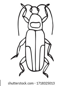Beetle, easy coloring page for kids. Exotic bug collection.hand drawn doodle style, Isolated on white background.insect outline vector, icon.