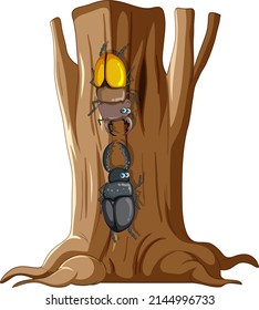 Beetle fighting on a tree illustration