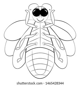 Beetle firefly coloring book for kids. Funny beetle with big eyes and wings.