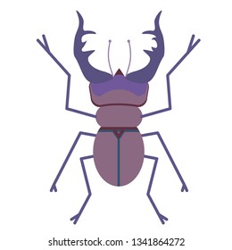 beetle flat illustration Wild life plants and animals series