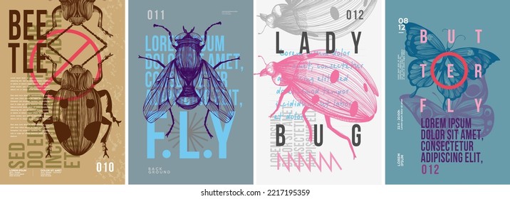 Beetle, fly, ladybug, butterfly. Set of vector posters . Typography. Vintage pencil sketch. Engraving style. Labels, cover, t-shirt print, painting.