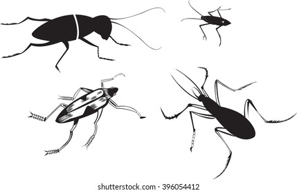 Beetle ,
Four Beatles Are Meeting, All elements are in separate layers colors can be changed  easily.   Beetle Are The Largest Group Of Insects,

easily.       