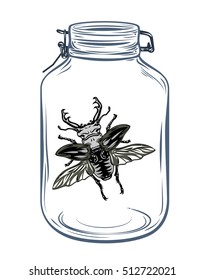 Beetle in a glass jar, freehand drawing