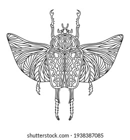 Página de coloreo de Beetle Goliath. Ilustración vectorial lineal del escarabajo Goliat. Libro de colorantes antiestrés para adultos y niños 