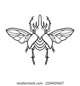beetle graphic design vector illustration,art tattoo sketch,hand draw,use in print