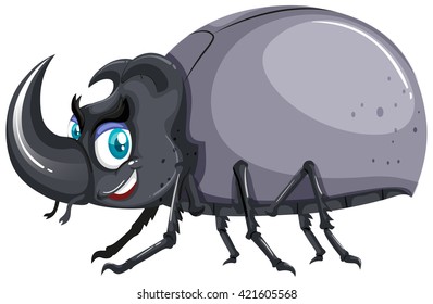 Beetle with gray wings illustration