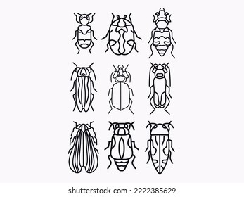 beetle ground outline icon .bug insect line art doodle illustration collection