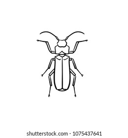 Beetle hand drawn outline doodle icon. Insect beetle vector sketch illustration for print, web, mobile and infographics isolated on white background.