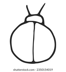 Beetle hand drawn, simple line drawing, black outline. Hand drawn, vector, on white background isolated. View from above.