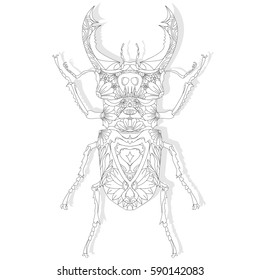 Beetle. Hand drawn sketch for adult coloring book page, T-shirt emblem, tattoo with doodle, zentangle design elements. 