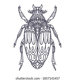 beetle hand drawn vector illustration with doodle style