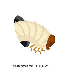 Beetle larva from hole isolated. worm gnawed hole. vector illustration