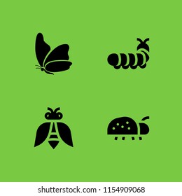 beetle icon. 4 beetle set with ladybug and insect vector icons for web and mobile app