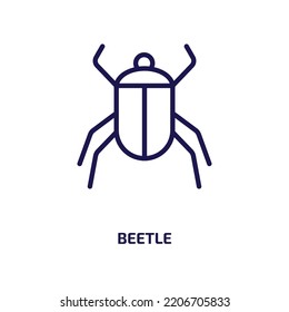 beetle icon from animals collection. Thin linear beetle, insect, nature outline icon isolated on white background. Line vector beetle sign, symbol for web and mobile