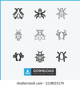 Beetle icon. collection of 9 beetle outline icons such as fly. editable beetle icons for web and mobile.