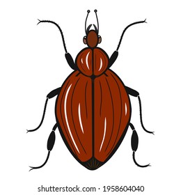 Beetle icon. Creative illustration. Colorful sketch. Idea for decors, logo, patterns, papers, covers, gifts, summer and autumn garden, insect natural themes. Isolated vector art.