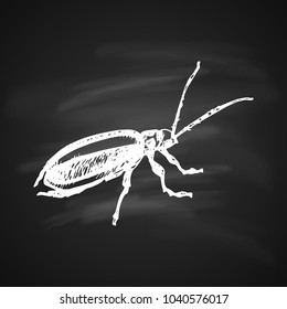 Beetle Icon of Cucumber Beetle (Diabrotica undecimpunctata). Drawn a White Gel Pen on Black Background