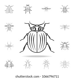 beetle icon. Detailed set of insects line illustrations. Premium quality graphic design icon. One of the collection icons for websites, web design, mobile app on white background