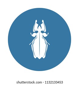 beetle icon. Element of insect icons for mobile concept and web apps. Badge style beetle icon can be used for web and mobile apps