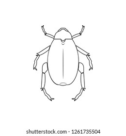 beetle icon. Element of insect for mobile concept and web apps icon. Thin line icon for website design and development, app development