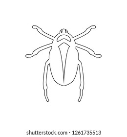 beetle icon. Element of insect for mobile concept and web apps icon. Thin line icon for website design and development, app development