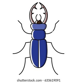 Beetle icon flat design. Vector illustration of bug top view linear style