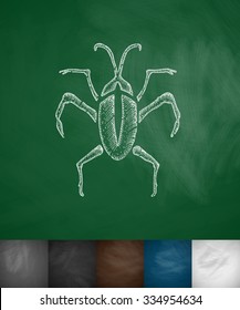 beetle icon. Hand drawn vector illustration. Chalkboard Design