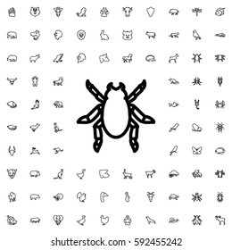 beetle icon illustration isolated vector sign symbol. Animals icons vector set.
