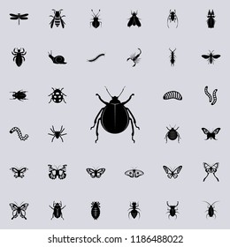 beetle icon. insect icons universal set for web and mobile