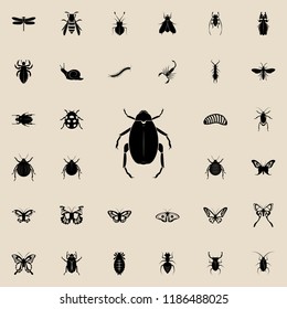 beetle icon. insect icons universal set for web and mobile