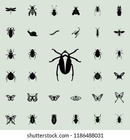 beetle icon. insect icons universal set for web and mobile