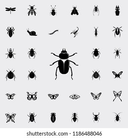 beetle icon. insect icons universal set for web and mobile