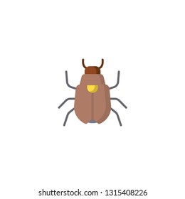 beetle icon on a white background