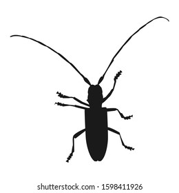  A beetle icon on white background. The Capricorn beetle logo, vector stock illustration.