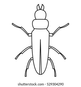 Beetle icon. Outline illustration of beetle vector icon for web