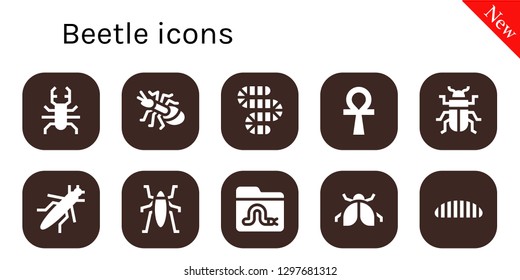  beetle icon set. 10 filled beetle icons. Simple modern icons about  - Beetle, Ant, Worm, Ankh, Grasshopper, Insect, Ladybug, Caterpillar