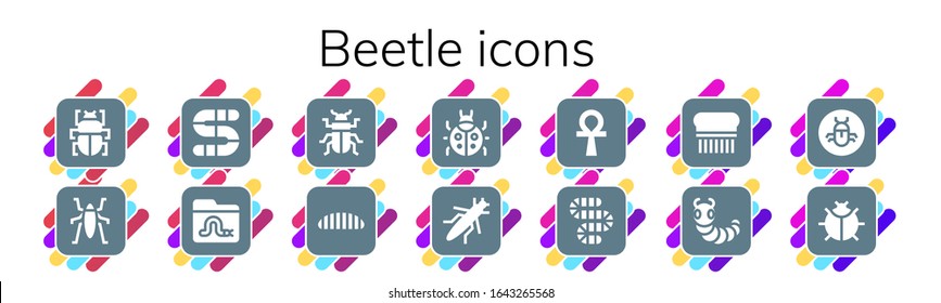beetle icon set. 14 filled beetle icons. Included Fleas, Insect, Worm, Beetle, Caterpillar, Ladybug, Grasshopper, Ankh, Flea, Bug icons