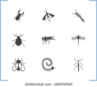Beetle icon set and aphid with stickbug, stag beetle and fly. Greenfly related beetle icon vector for web UI logo design.