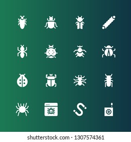beetle icon set. Collection of 16 filled beetle icons included Bug, Worm, Beetle, Ladybird, Ladybug, Ant, Caterpillar, Cicada, Insect, Cockroach