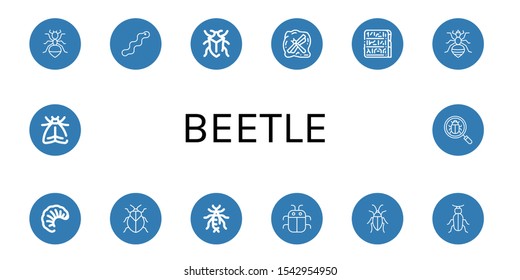 beetle icon set. Collection of Ant, Worm, Bug, Insect, Egypt, Louse, Larva, Stink bug, Earwig, Cockroach, Beetle, Moth icons