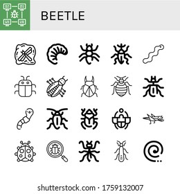 beetle icon set. Collection of Bug, Insect, Larva, Ant, Weevil, Worm, Beetle, Bed bug, Cockroach, Grasshopper, Ladybug, Mantis, Stonefly, Mosquito coil icons