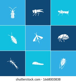 Icono de escarabajo y avispón gigante de madera con mosca rober, oruga y luciérnagas. Icono de escarabajo relacionado con abejorro vectorial para el diseño del logotipo de la interfaz de usuario web.